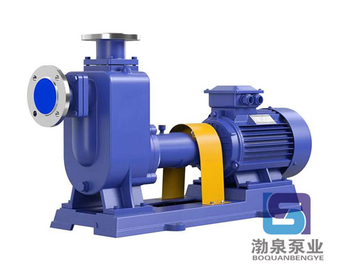 32ZW10-20_無堵塞自吸污水泵