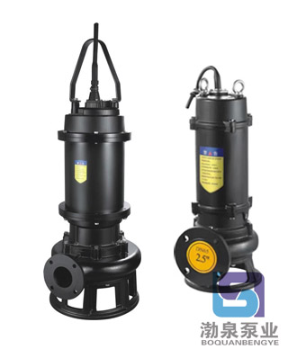 80WQ60-45-18.5_高揚程市政工程排污泵
